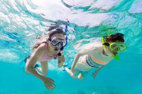 Snorkel Hat Head Creek - Tourism Canberra 0