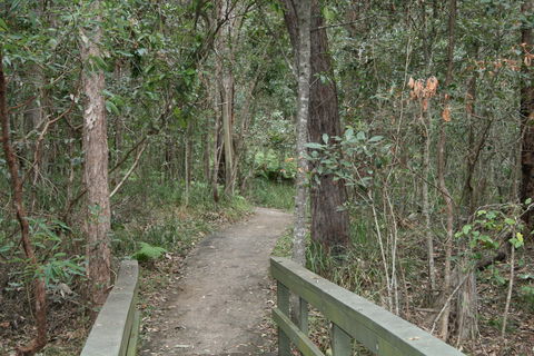 Springwood Conservation Park - Tourism Canberra 0