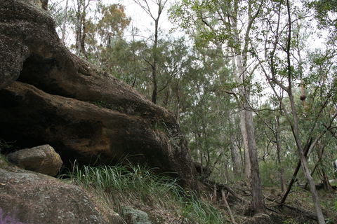 Springwood Conservation Park - Tourism Canberra 2