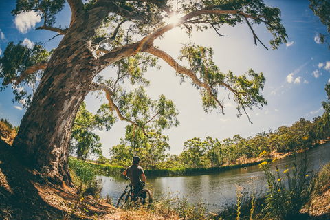 Sturt Gorge Recreation Park - Tourism Canberra 0