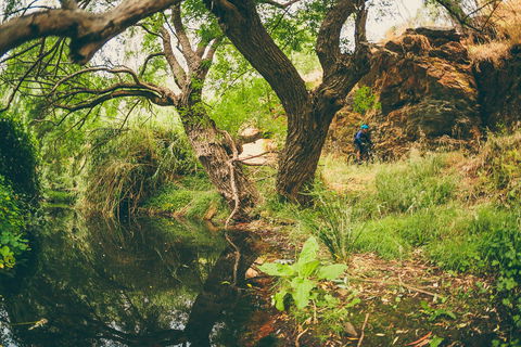 Sturt Gorge Recreation Park - Tourism Canberra 1