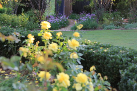 The Bath House Garden - Tourism Canberra 1