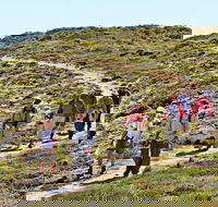 The Sole Walk at Hillocks Drive - Tourism Canberra