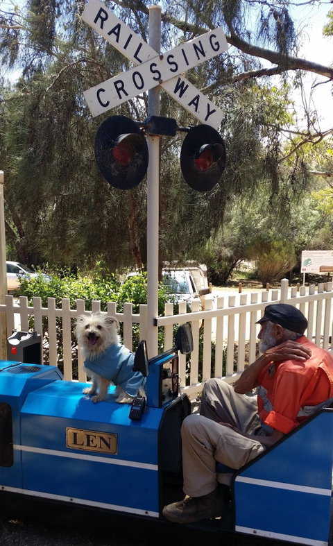 Toodyay Miniature Railway - Tourism Canberra 2