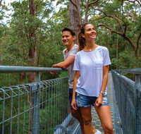 Valley of the Giants Tree Top Walk - Tourism Canberra