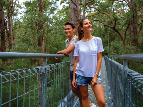 Valley Of The Giants Tree Top Walk - Tourism Canberra 0