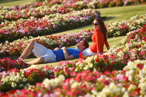 Victoria State Rose Garden At Werribee Park - Tourism Canberra 1