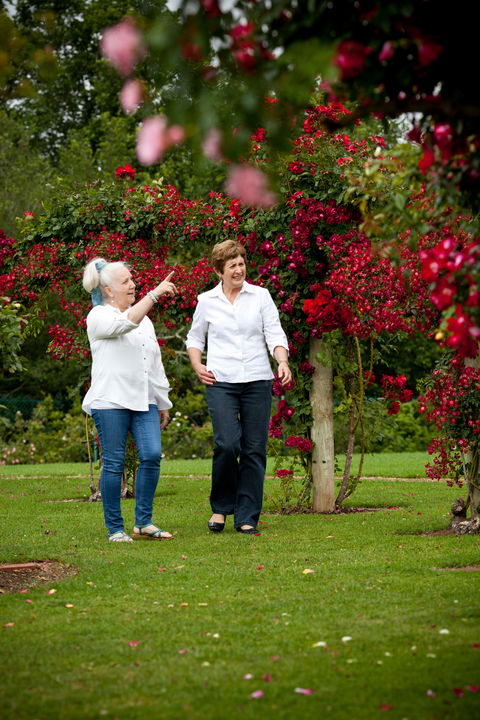 Victoria State Rose Garden At Werribee Park - Tourism Canberra 2