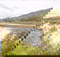 Willis picnic area - Tourism Canberra