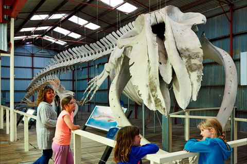 Albany's Historic Whaling Station - Tourism Canberra 2