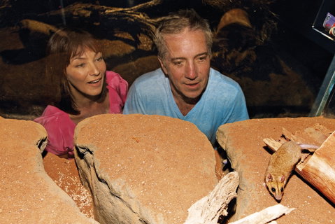At The Creek Visitor Information Centre - Tourism Canberra 0