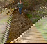 Balcombe Creek Estuary Boardwalk - Tourism Canberra