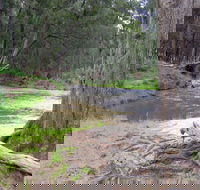 Bangadilly National Park - Tourism Canberra