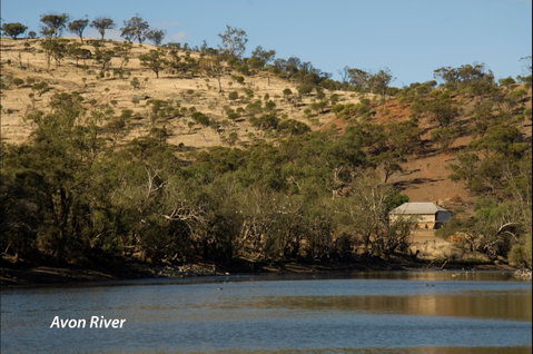 Bilya Walk Track - Tourism Canberra 2