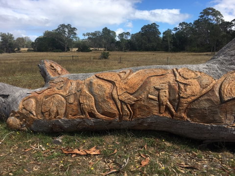 Bilston's Tree - Tourism Canberra 1