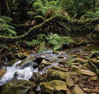 Budderoo National Park