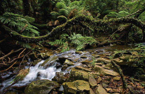 Budderoo National Park - Tourism Canberra 0