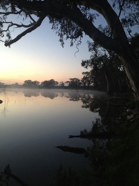 Cockatoo Lake Recreation Reserve - Tourism Canberra 0