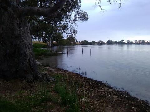 Cockatoo Lake Recreation Reserve - Tourism Canberra 1