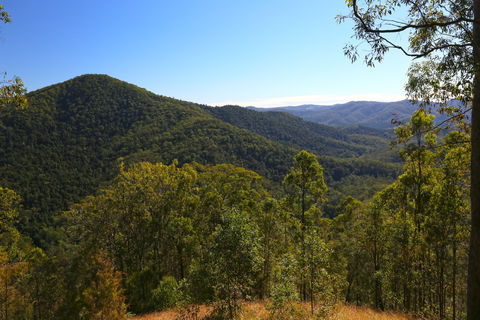 Conondale National Park - Tourism Canberra 0