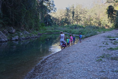 Conondale National Park - Tourism Canberra 2