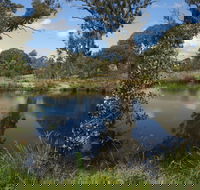 Cooleman Ridge - Tourism Canberra