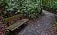 Coombadjha Nature Stroll - thumb 0