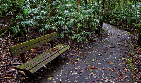 Coombadjha Nature Stroll - Tourism Canberra 0
