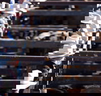 Dalby - Tourism Canberra