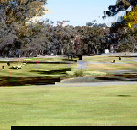Deniliquin Golf Club - Tourism Canberra