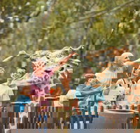 Dubbo - Tourism Canberra