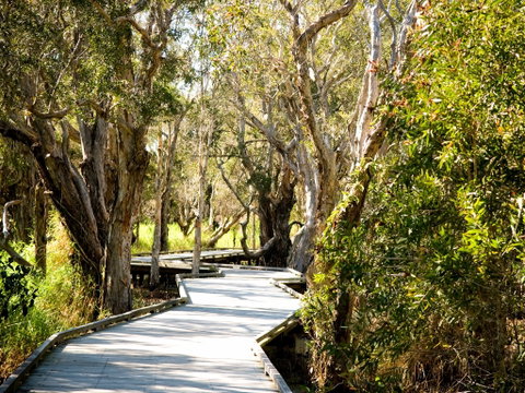 Eagleby Wetlands - Tourism Canberra 1