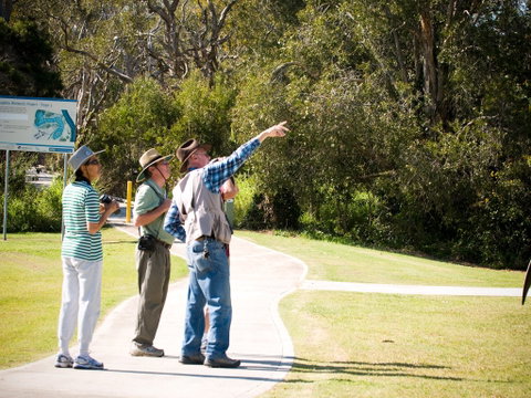 Eagleby Wetlands - Tourism Canberra 2