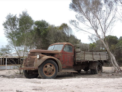 Emu Ridge Eucalyptus Pty Ltd - Tourism Canberra 2