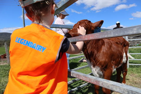Farm Visit  Dungog - Tourism Canberra 0