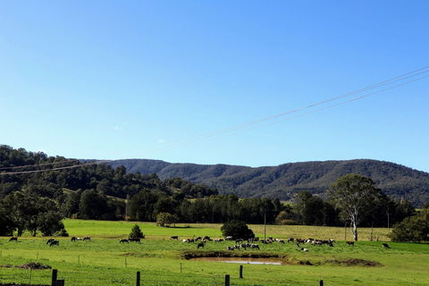 Farm Visit  Dungog - Tourism Canberra 1