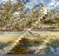 Flea Creek Picnic Area - Tourism Canberra