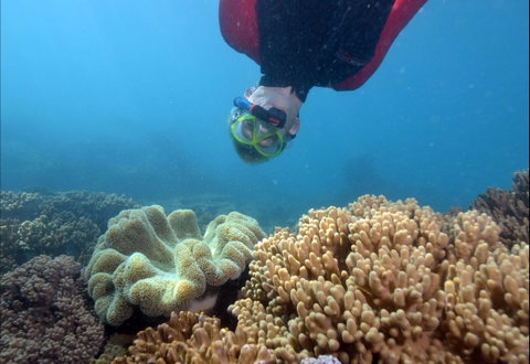 Geoffrey Bay Snorkel Trail - Tourism Canberra 0