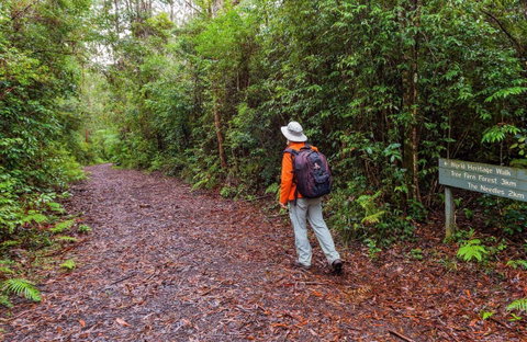 Gibraltar-Washpool World Heritage Walk - Tourism Canberra 0