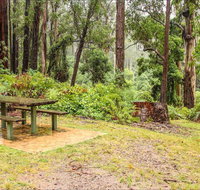 Goodenia Rainforest picnic area - Tourism Canberra
