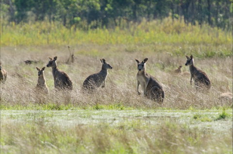 Kosciuszko National Park - Tourism Canberra 2