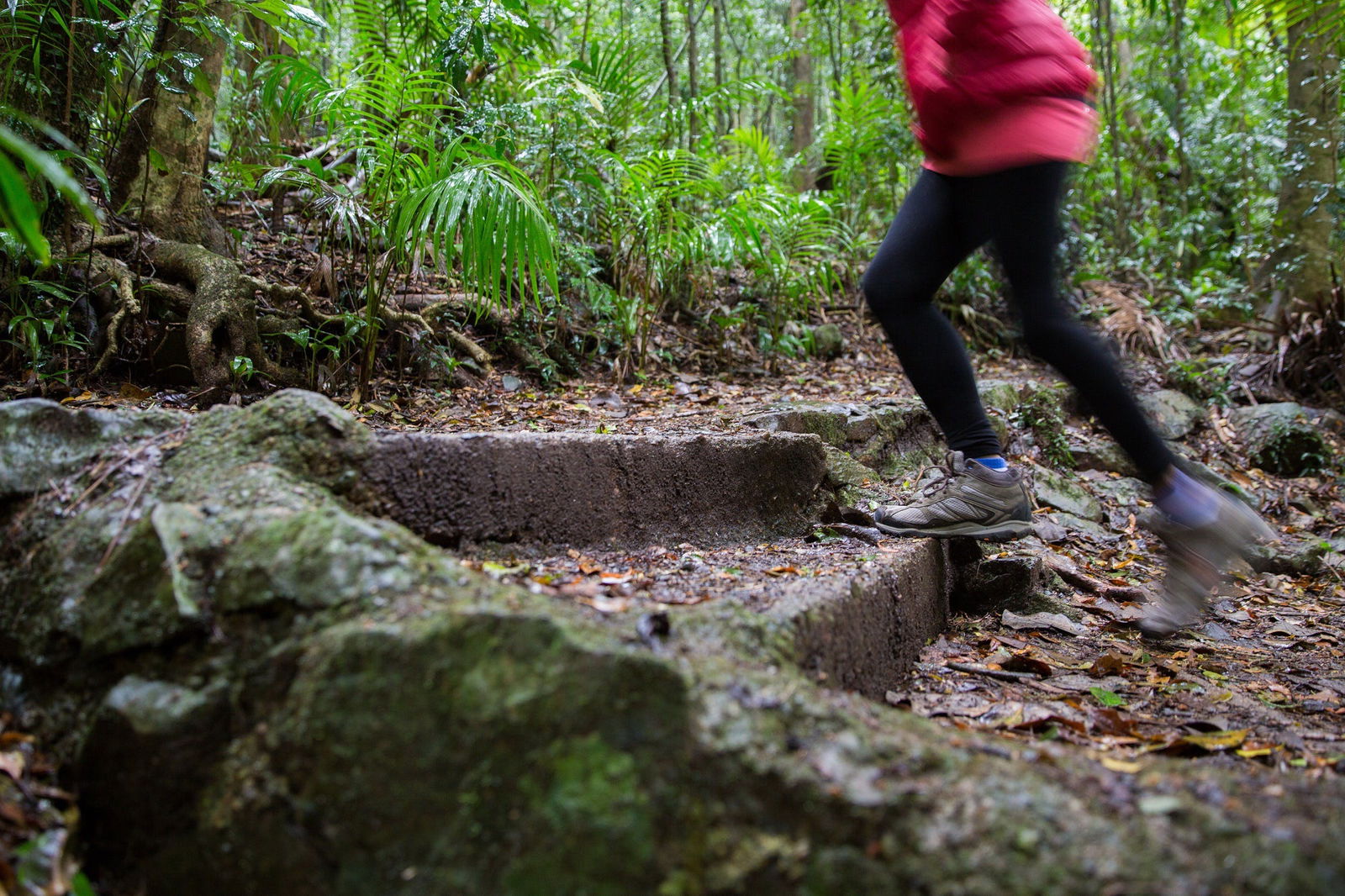 Mount Glorious QLD Tourism Canberra
