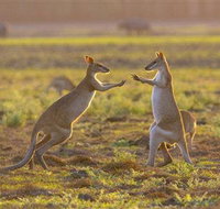 Mary River Area - Tourism Canberra