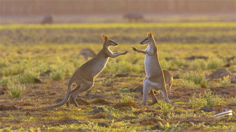 Mary River Area - Tourism Canberra 0