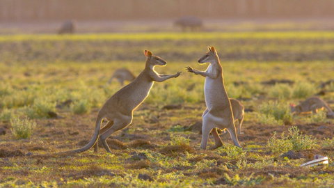 Mary River Area - Tourism Canberra 1