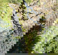 Morans Falls track Lamington National Park - Tourism Canberra