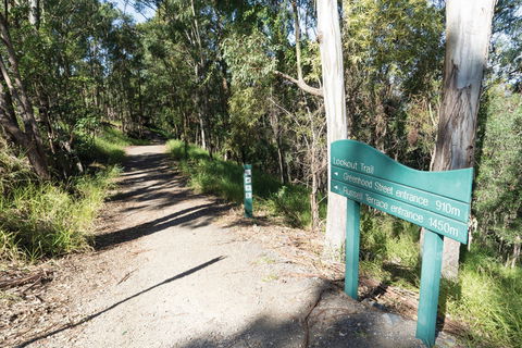 Mt Coot-tha Tourist Drive - Tourism Canberra 0