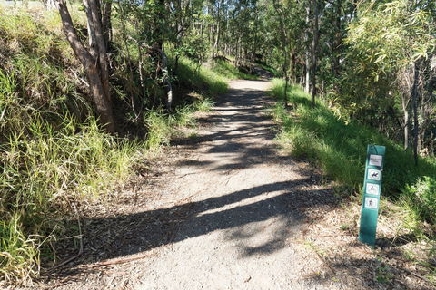 Mt Coot-tha Tourist Drive - Tourism Canberra 2