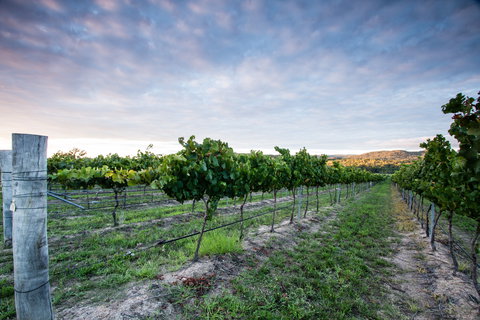 Nature And Foodies Trail - Tourism Canberra 0