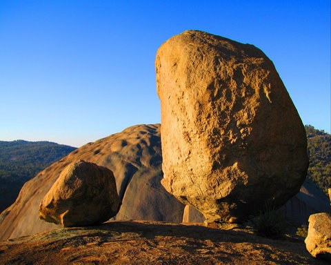 Nature And Foodies Trail - Tourism Canberra 1